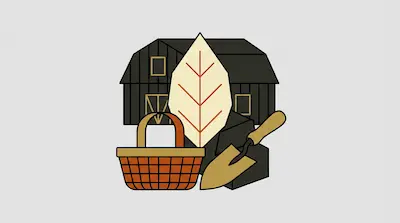 A dark barn, a large leaf, a woven basket, and a garden trowel.