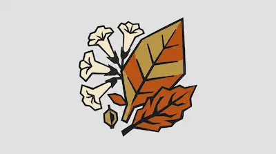Two stylized leaves in shades of orange and tan next to a cluster of white trumpet-shaped flowers.