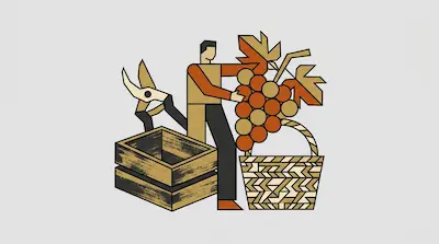 A person holds a large bunch of grapes next to a basket, a wooden crate, and pruning shears.