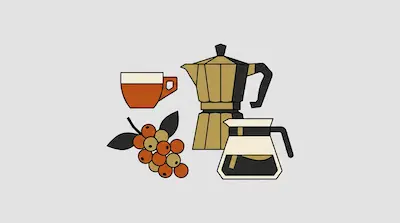 A moka pot, a cup of coffee, a branch of coffee cherries, and a coffee carafe.