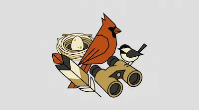 A red cardinal, a chickadee, a nest with an egg, a feather, and a pair of binoculars are arranged in a geometric style.