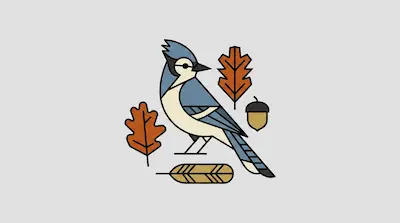 Flat illustration of a blue jay bird surrounded by orange oak leaves, an acorn, and a feather on a gray background