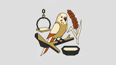 A tan and orange parakeet perches on a branch surrounded by a swing, a spray of millet, and a food dish.
