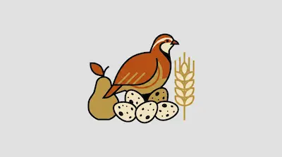 Flat illustration of a partridge bird sitting on speckled eggs next to a pear and a stalk of wheat on a gray background