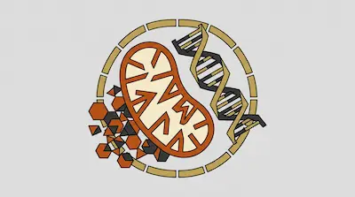 A circular graphic featuring a mitochondrion, a DNA double helix, and various geometric shapes.
