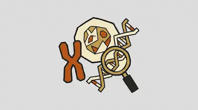 A graphic of an X-shaped chromosome, a DNA double helix, and a magnifying glass over a circular shape with abstract patterns.