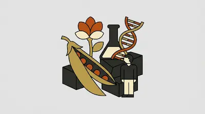 A pea pod, a flower, a laboratory flask, a DNA double helix, and a person standing next to dark blocks.