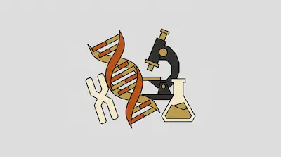 A DNA double helix, a microscope, an Erlenmeyer flask, and a chromosome.