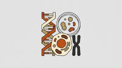 A DNA double helix, a petri dish with microbes, a biological cell, and an X-shaped chromosome.