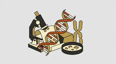 A microscope, a DNA double helix, a chromosome, and a petri dish.