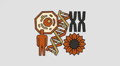 A cell, a DNA double helix, two chromosomes, a human silhouette, and a sunflower in shades of orange and brown.