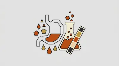 A minimalist graphic of a stomach, a laboratory flask, and a test strip surrounded by floating geometric shapes in shades of orange and tan.