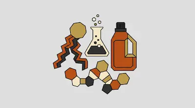 Geometric illustrations of a phospholipid molecule, an Erlenmeyer flask, a brown bottle, and a chain of hexagons.