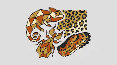 Geometric depictions of a chameleon and a leaf insect alongside a leopard print pattern and a textured wing.