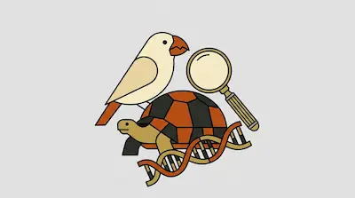 A bird perched on a tortoise's shell, accompanied by a magnifying glass and a DNA double helix.