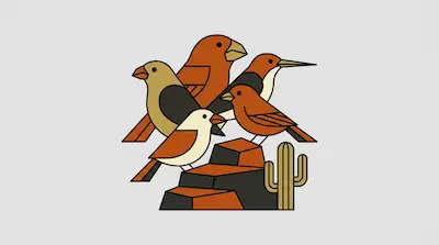 Five stylized birds with different beak shapes perched on dark rocks next to a small cactus.