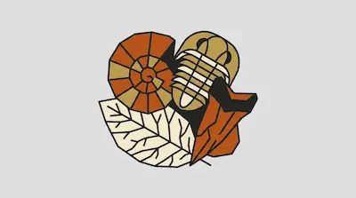 A cluster of four stylized fossils, including an ammonite, a trilobite, a leaf, and a tooth, rendered in a geometric graphic style.