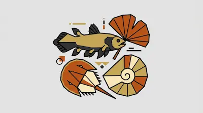 Geometric depictions of a coelacanth fish, a ginkgo leaf, a horseshoe crab, and a nautilus shell.