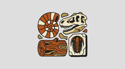 Four stylized fossils including an ammonite, a dinosaur skull, petrified wood, and a trilobite.