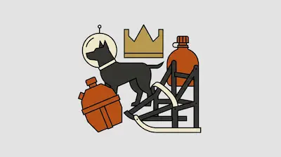 Flat illustration of a dog wearing a space helmet, a gold crown, and orange canteens on a light gray background