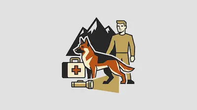Flat illustration of a search and rescue dog, a man, a first aid kit, and a flashlight against a mountain backdrop