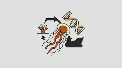 A bell-shaped immortal jellyfish with a red stomach beside a polyp, a DNA helix, a life cycle arrow, and a ship hull silhouette on a light gray background.