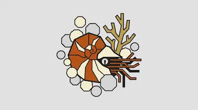 Flat illustration of a nautilus with orange stripes, a piece of coral, and geometric bubbles on a gray background