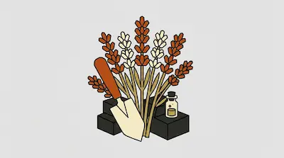 Stylized orange and cream lavender stalks arranged with a garden trowel, a small glass bottle, and dark rectangular blocks.