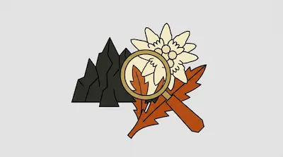 A magnifying glass focuses on a white flower and orange leaves, with dark grey mountain peaks in the background.