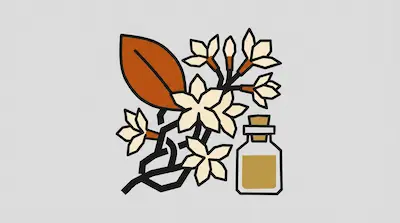 White jasmine flowers and a brown leaf next to a small bottle of yellow oil.