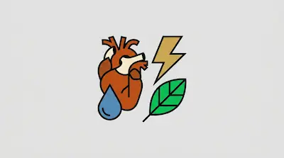 A human heart, a blue water droplet, a yellow lightning bolt, and a green leaf.