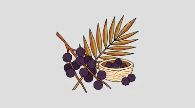 Dark purple berries on a branch and in a small wooden bowl next to a palm leaf.