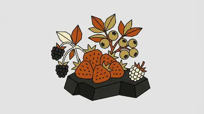 Stylized berries and leaves in shades of orange, tan, and black resting on a dark geometric base.