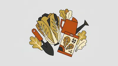 A head of Napa cabbage surrounded by a hand trowel, a watering can, a seed packet, and several leaves.