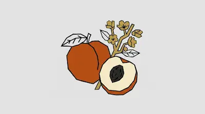 A whole peach, a sliced peach with a pit, and a flowering branch in a geometric style.