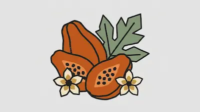 A whole papaya and two halves showing seeds, arranged with a green leaf and two small flowers.