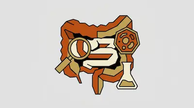 A stylized graphic of human intestines accompanied by a magnifying glass, a hexagonal cell icon, and a laboratory flask.