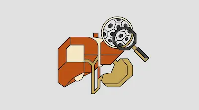 A geometric depiction of a liver and stomach with a magnifying glass focused on a circular area of hexagonal patterns.