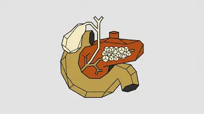 Geometric depiction of the pancreas, gallbladder, and duodenum. Small white cubes are clustered inside the orange pancreas.