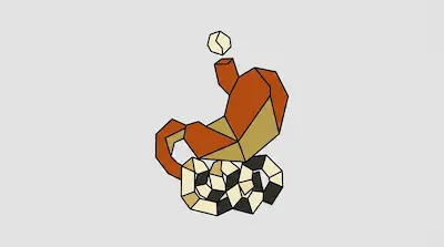 A geometric, low-poly depiction of a stomach and intestines in shades of orange, tan, and black.