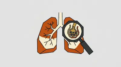 Human lungs with a magnifying glass showing a close-up of the honeycomb-like structure of the alveoli.