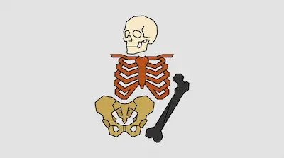 Stylized, geometric drawings of a human skull, ribcage, pelvis, and a long bone.