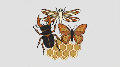 A stag beetle, dragonfly, butterfly, and honeycomb are arranged in a stylized, geometric design using earth tones.