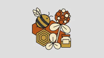 A stylized bumblebee, a clover flower, honeycomb patterns, and a small jar of honey are grouped together.