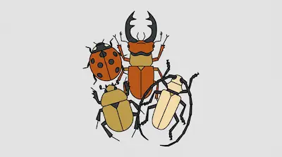 Four stylized beetles of different species are clustered together on a light gray background.