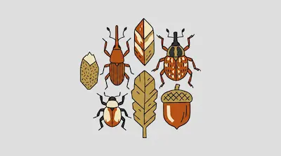 Flat illustration of three brown beetles, two autumn leaves, and an acorn arranged on a light grey background