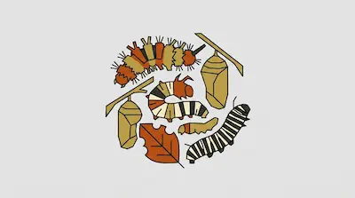 Flat illustration of various caterpillars, cocoons, and a leaf arranged in a circle on a light gray background