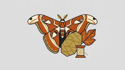 Flat illustration of an orange atlas moth, a silk cocoon, a leaf, and a spool of thread on a light gray background