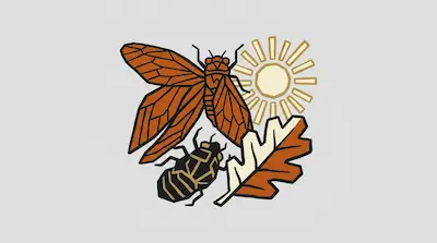 Flat illustration of an orange cicada, a black beetle, and a stylized sun with a leaf on a light gray background
