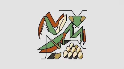 Geometric flat illustration of a green and brown praying mantis standing over a pile of eggs on a gray background